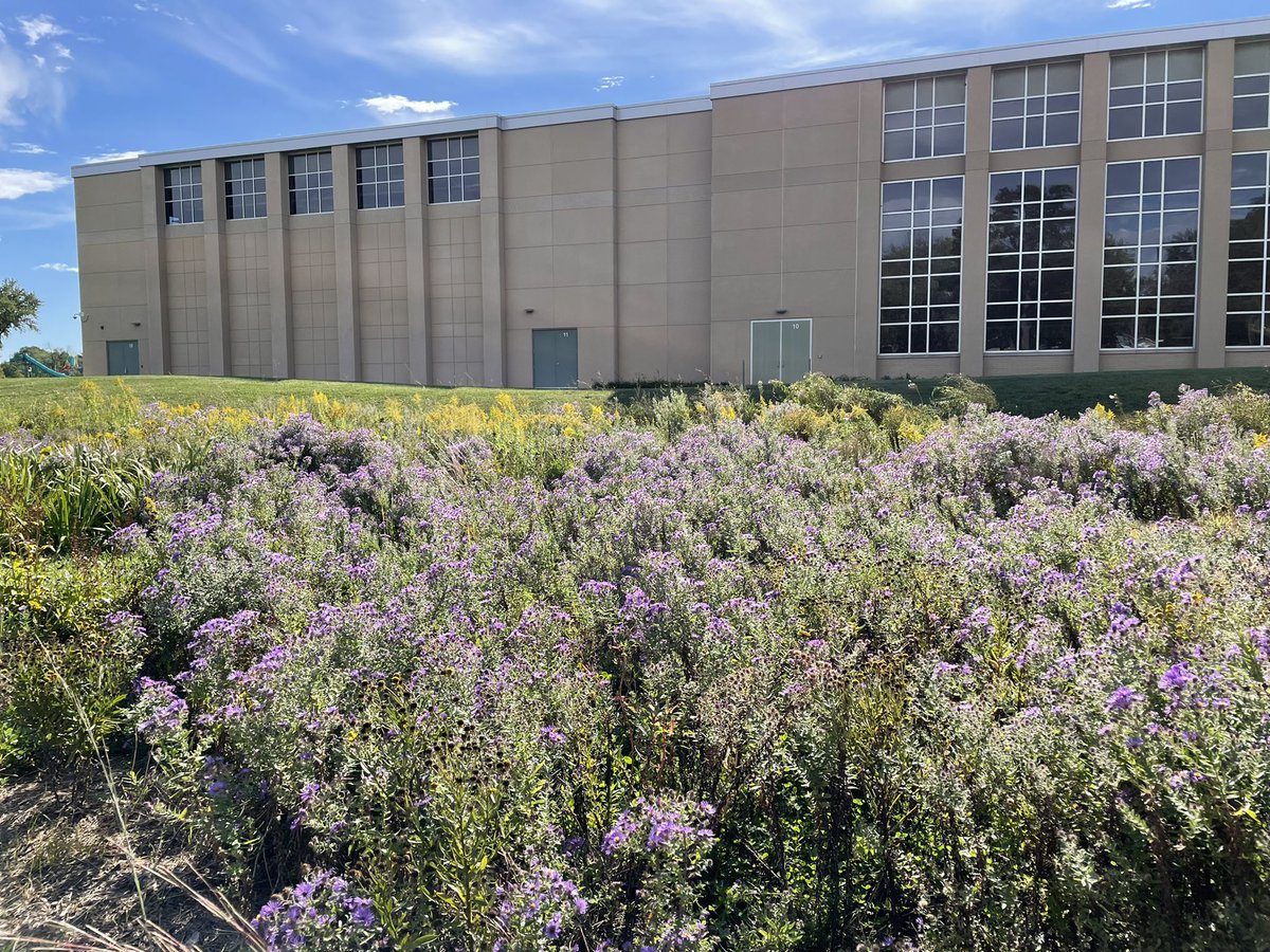 EGHS Pollinator Garden tweet media