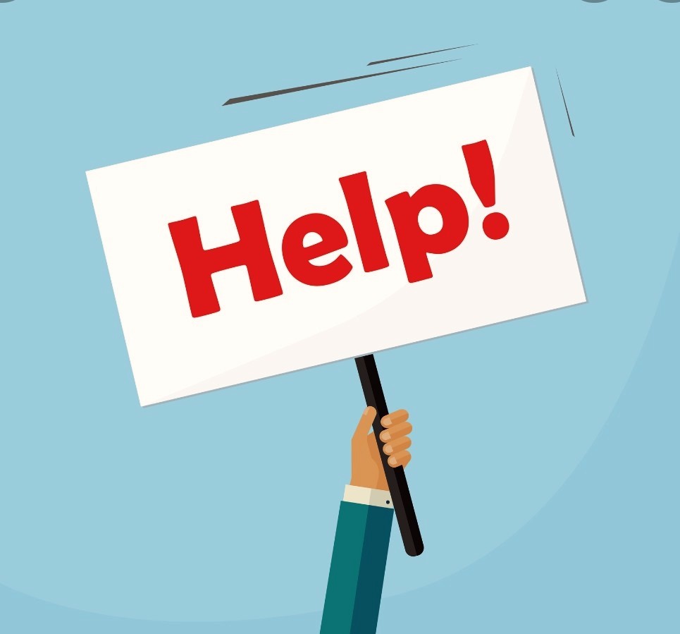 Parachutes For Pets tweet media