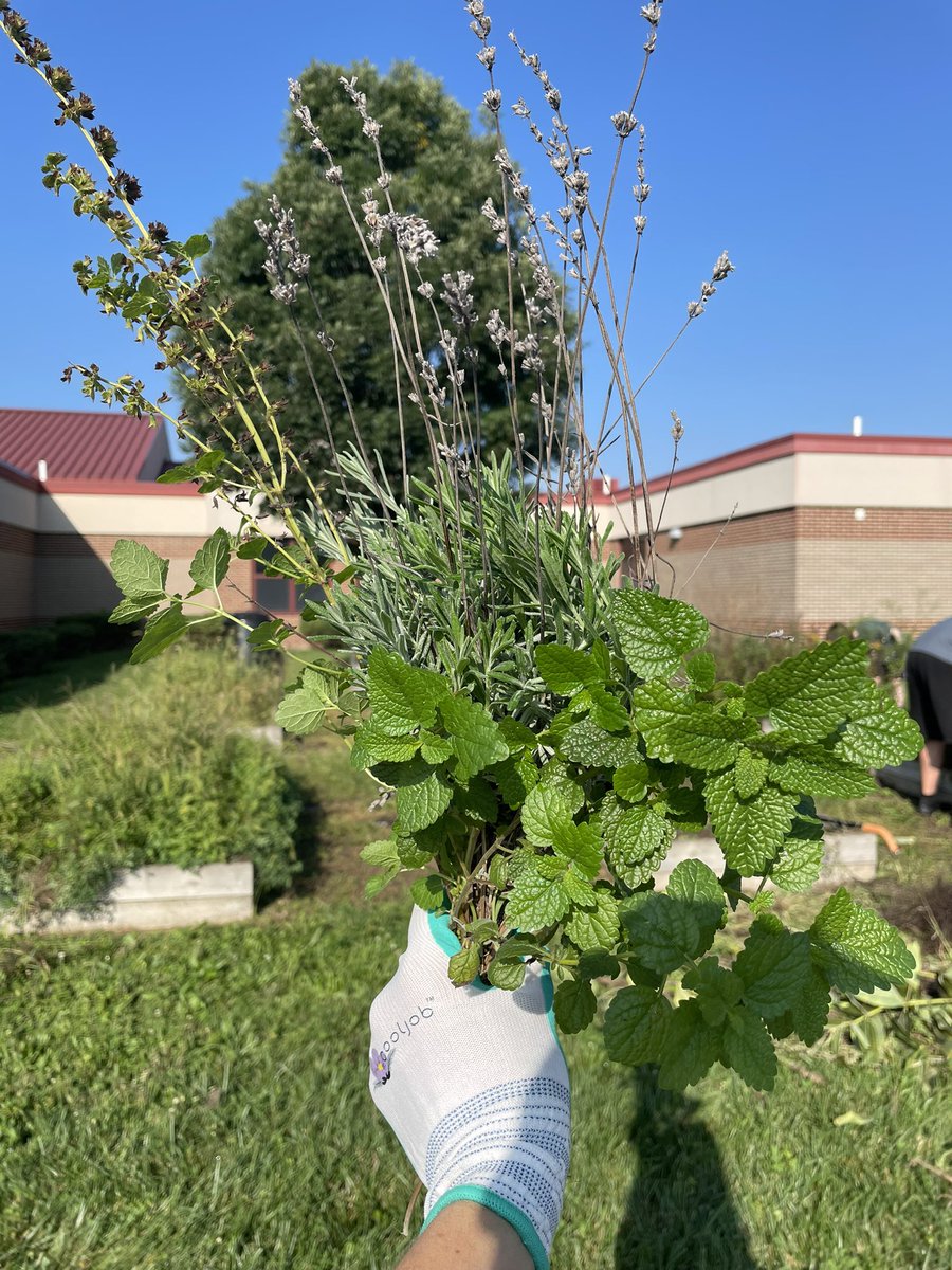 @DanceAvonDance tweet media