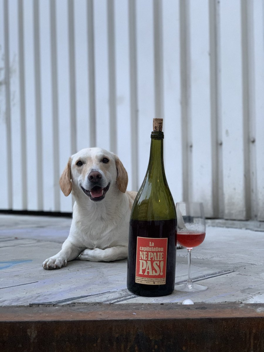 Anyone happen to be driving across from UK eurotunnel monday September 27th? 

DM if so please, we are looking to buy a lift.

#carsharing #eurotunnel #ridesharing