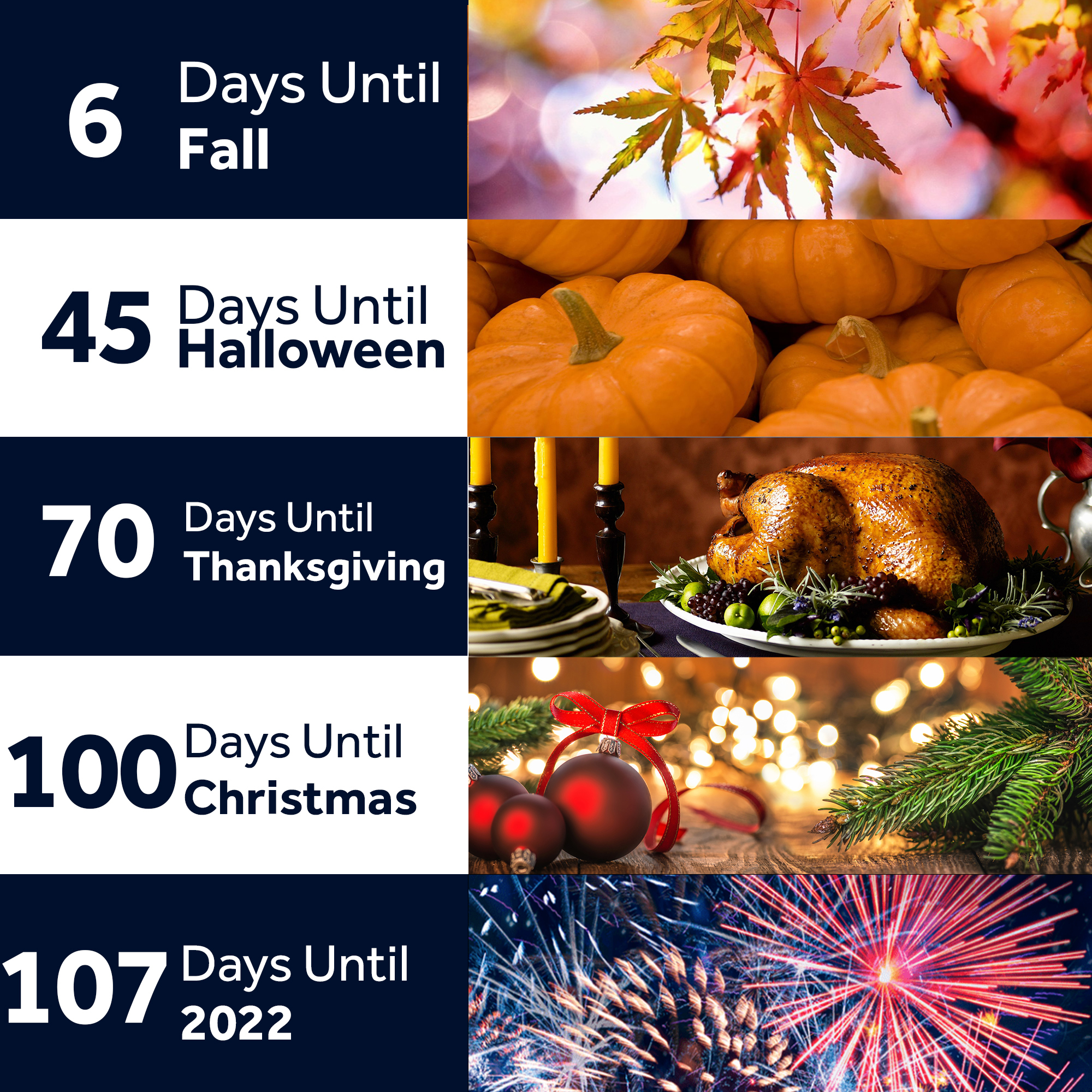 Halloween thanksgiving christmas 2022