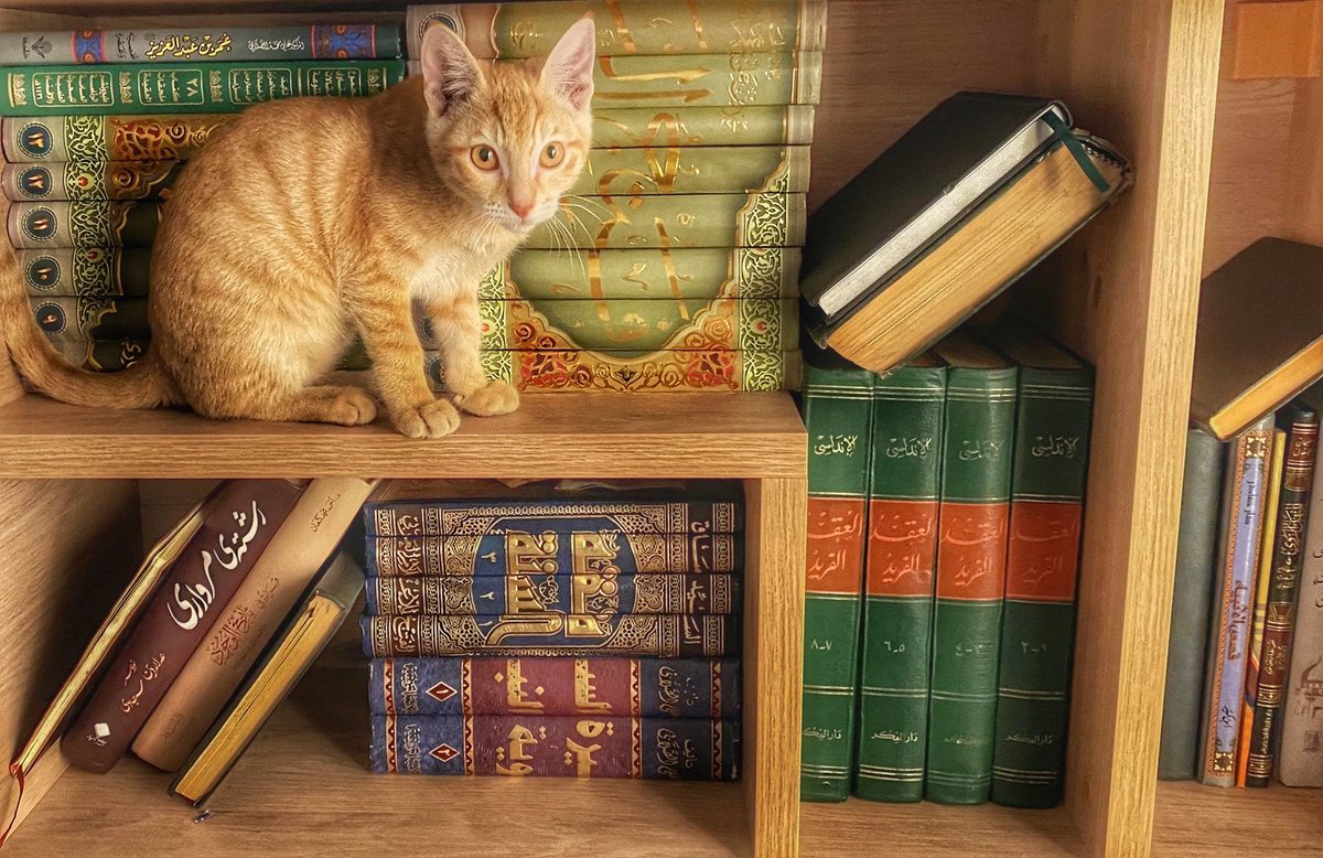 MuslemLibraries's tweet photo. Abu Huraira said: “I would tend to the sheep of my people and I had a small kitten. I used to place it in a tree at night and during the day I would take it and play with it. So they nicknamed me Abu Huraira, ‘father of the kitten.’”

Sunan al-Tirmidhī 3840 https://t.co/iUF5n85dw6