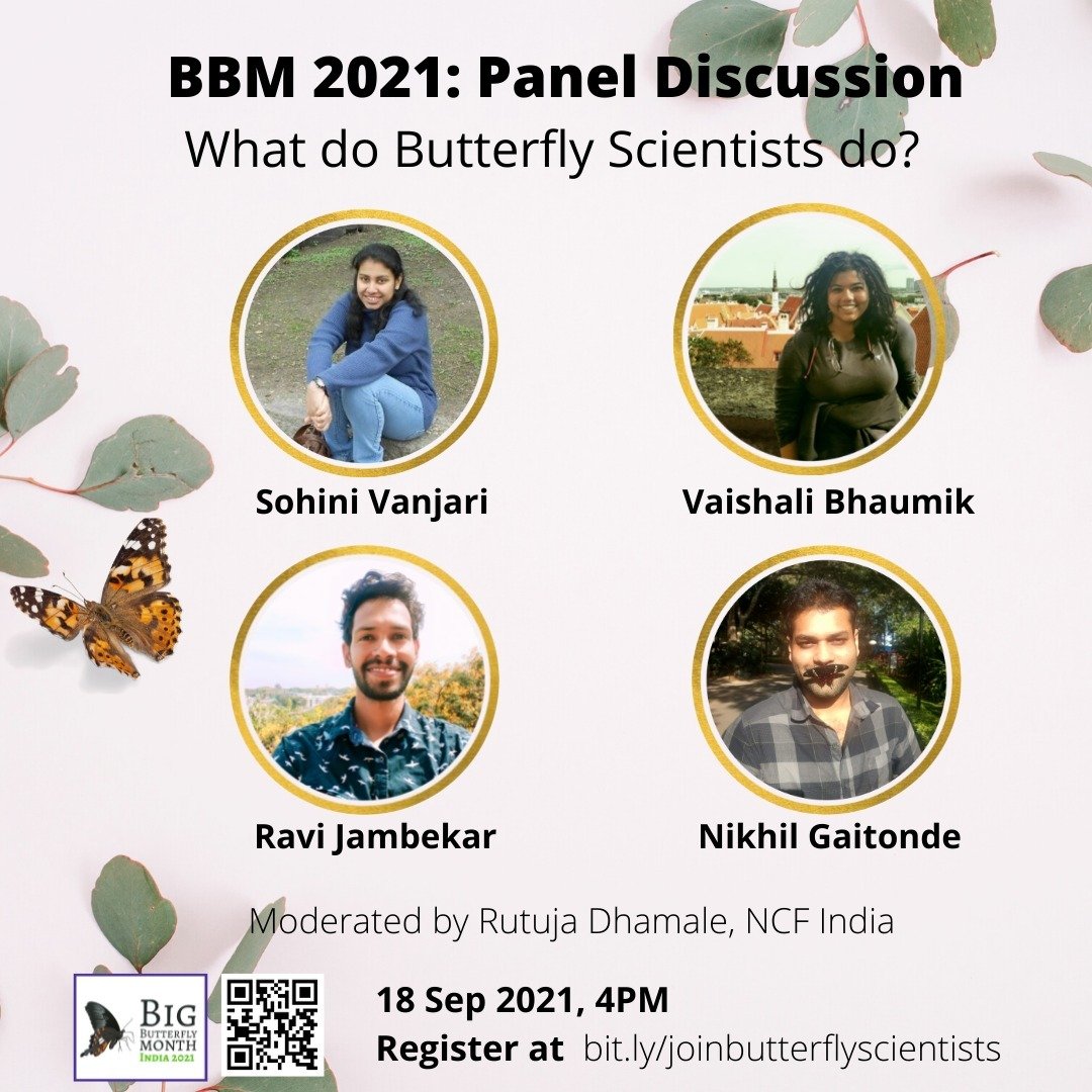 Chasing butterflies in Science... What does it mean?

Come find out in a panel discussion "What do butterfly scientists do?" with four butterfly scientists who have stories to tell about the butterfly world.

18 September 2021 
4 PM IST
Register: bit.ly/joinbutterflys…