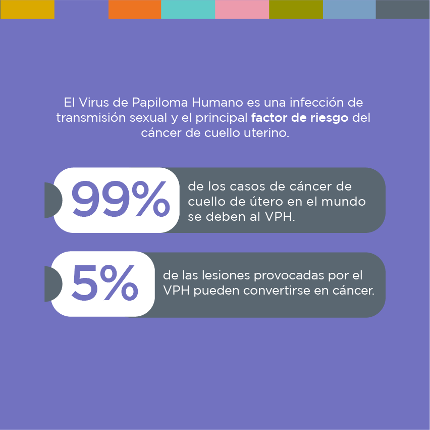LalcecArgentina's tweet photo. ¿Qué es el VPH?

El 𝐕𝐏𝐇 es el 𝐕𝐢𝐫𝐮𝐬 𝐝𝐞 𝐏𝐚𝐩𝐢𝐥𝐨𝐦𝐚 𝐇𝐮𝐦𝐚𝐧𝐨, es una infección de transmisión sexual y el principal factor de riesgo del cáncer de cuello uterino. https://t.co/IWIoEotmmJ