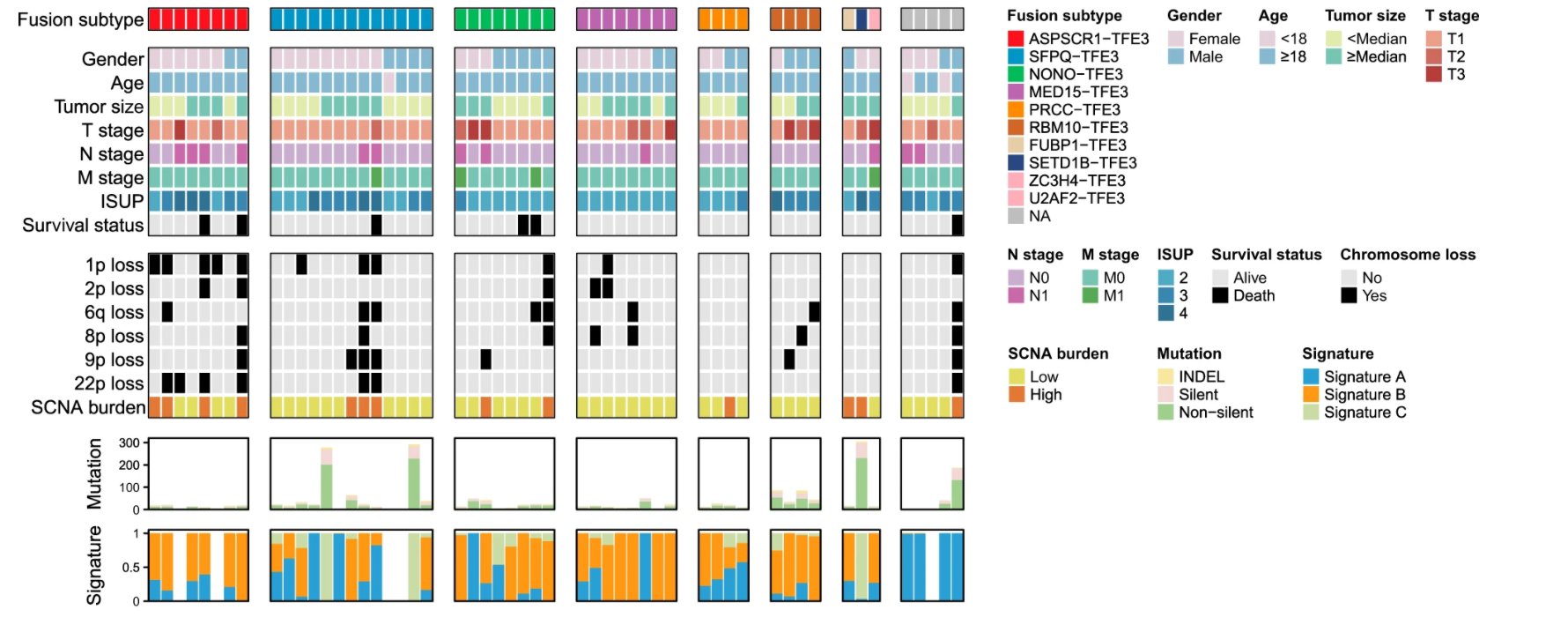 Nature Communications Study Performs Genomic And Transcriptomic Profiling Of Untreated Primary Tfe3 Translocation Renal Cell Carcinoma Tumours And Reveals Potential Therapeutic Targets Cancerresearch T Co Cwarpnbtch T Co Nature Communications Study Performs Genomic And Transcriptomic Profiling Of Untreated Primary Tfe3 Translocation Renal Cell Carcinoma Tumours And Reveals Potential Therapeutic Targets Cancerresearch T Co Cwarpnbtch T Co