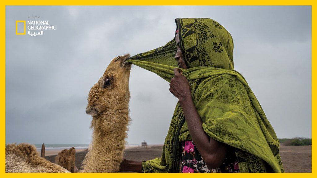 حِوَار على طريقة "الحُوار"