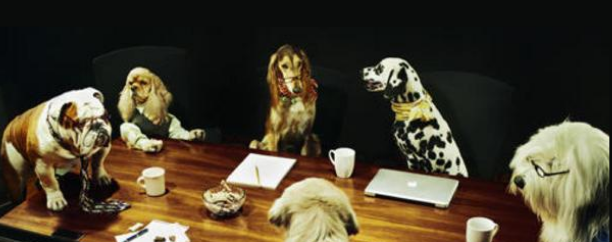 How will the cabinet reshuffle impact upon the planning reform proposed by the 'Planning for the Future' White Paper?

Read our take on what Robert Jenrick's dismissal means for the future of the planning system in our latest blog post: globeconsultants.co.uk/blog/cabinet-r…