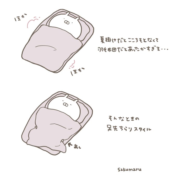 Twoucan Sakumaru まいにちうさまる Skmr 29