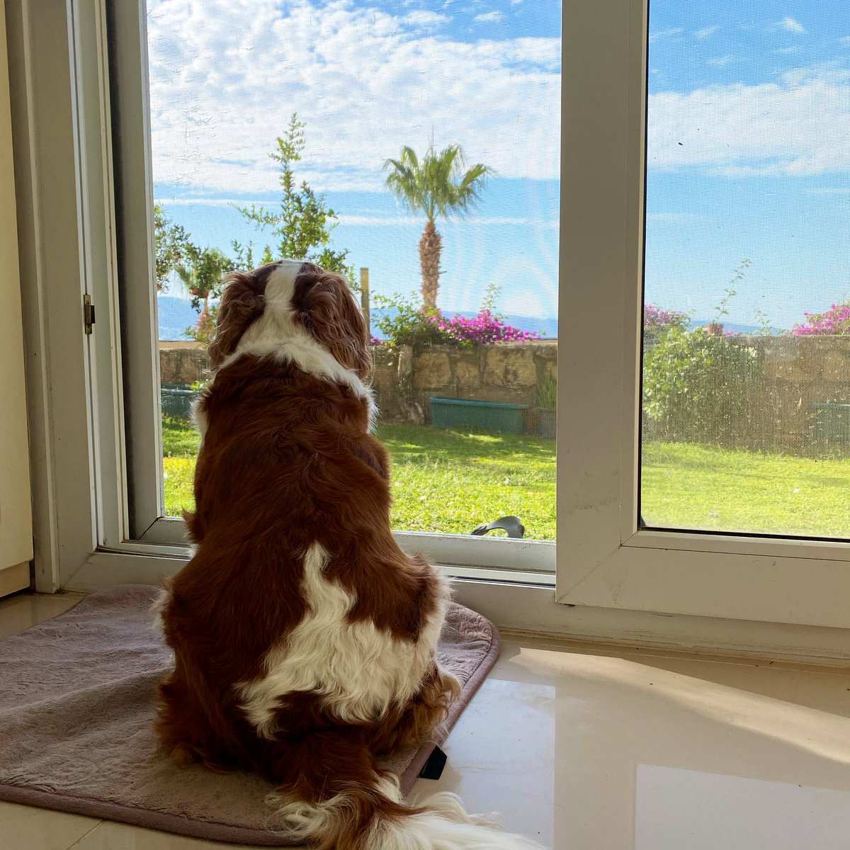 Nerde kaldın Bumbum?