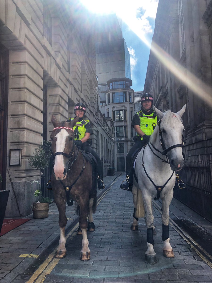 stephchapman99's tweet photo. Lovely to see @CityHorses and other city police presence outside Bank junction today! Keeping us safe - we thank you! https://t.co/lAVbjj5LJy