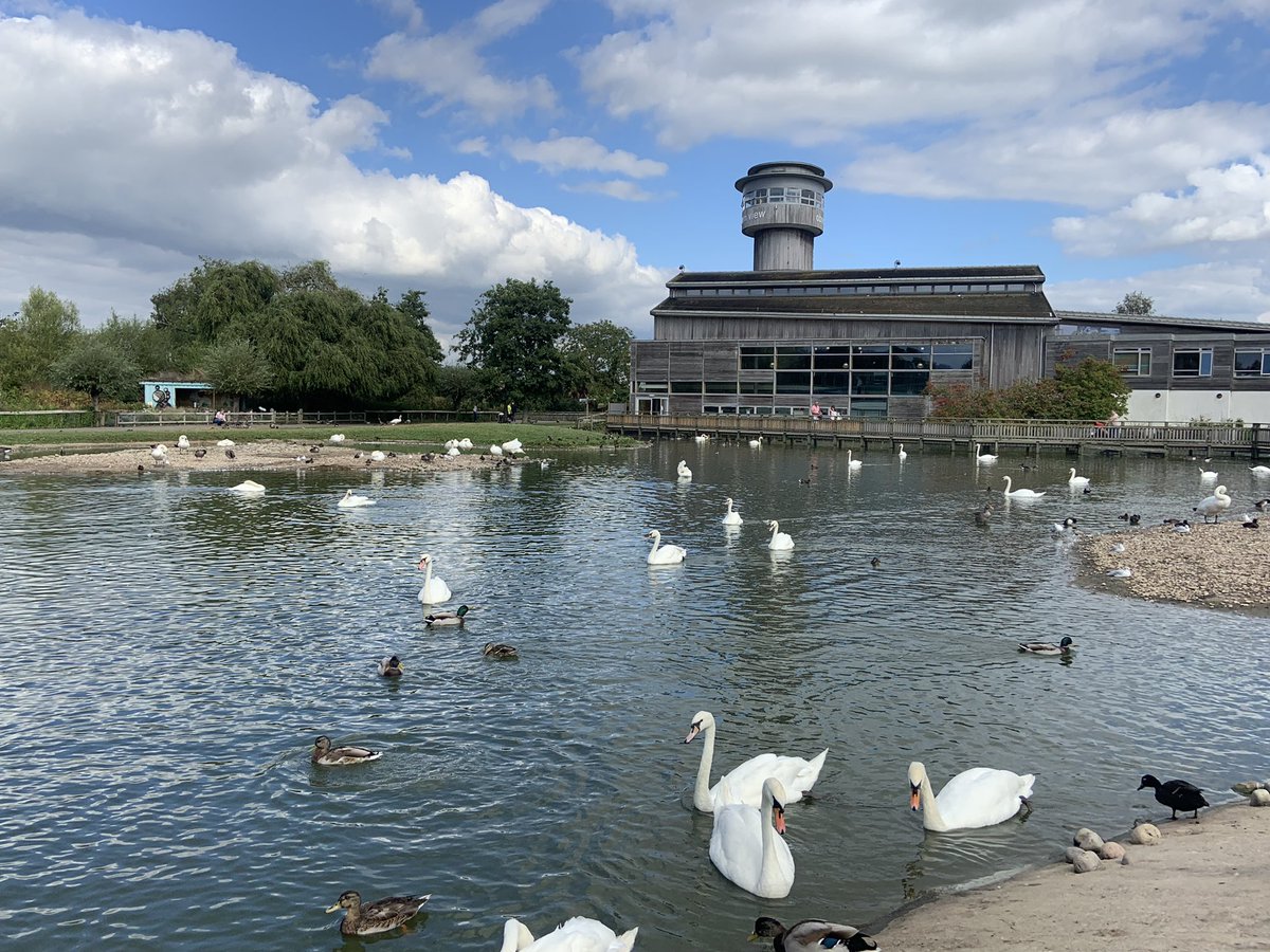 WWTSlimbridge's tweet image. In the sun today we’re welcoming guests to celebrate 75 years of @WWTworldwide &amp;amp; the completion of our Slimbridge 2020 project! 🎉

Thanks to @Heritagefundl_s &amp;amp; supporters, we’ve transformed Slimbridge with 8 new inspirational &amp;amp; immersive wildlife experiences 🦆 

 #Slimbridge75