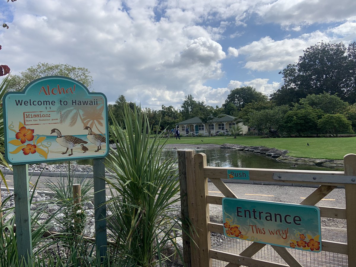 WWTSlimbridge's tweet image. In the sun today we’re welcoming guests to celebrate 75 years of @WWTworldwide &amp;amp; the completion of our Slimbridge 2020 project! 🎉

Thanks to @Heritagefundl_s &amp;amp; supporters, we’ve transformed Slimbridge with 8 new inspirational &amp;amp; immersive wildlife experiences 🦆 

 #Slimbridge75