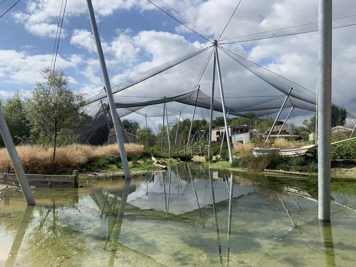 WWTSlimbridge's tweet image. In the sun today we’re welcoming guests to celebrate 75 years of @WWTworldwide &amp;amp; the completion of our Slimbridge 2020 project! 🎉

Thanks to @Heritagefundl_s &amp;amp; supporters, we’ve transformed Slimbridge with 8 new inspirational &amp;amp; immersive wildlife experiences 🦆 

 #Slimbridge75