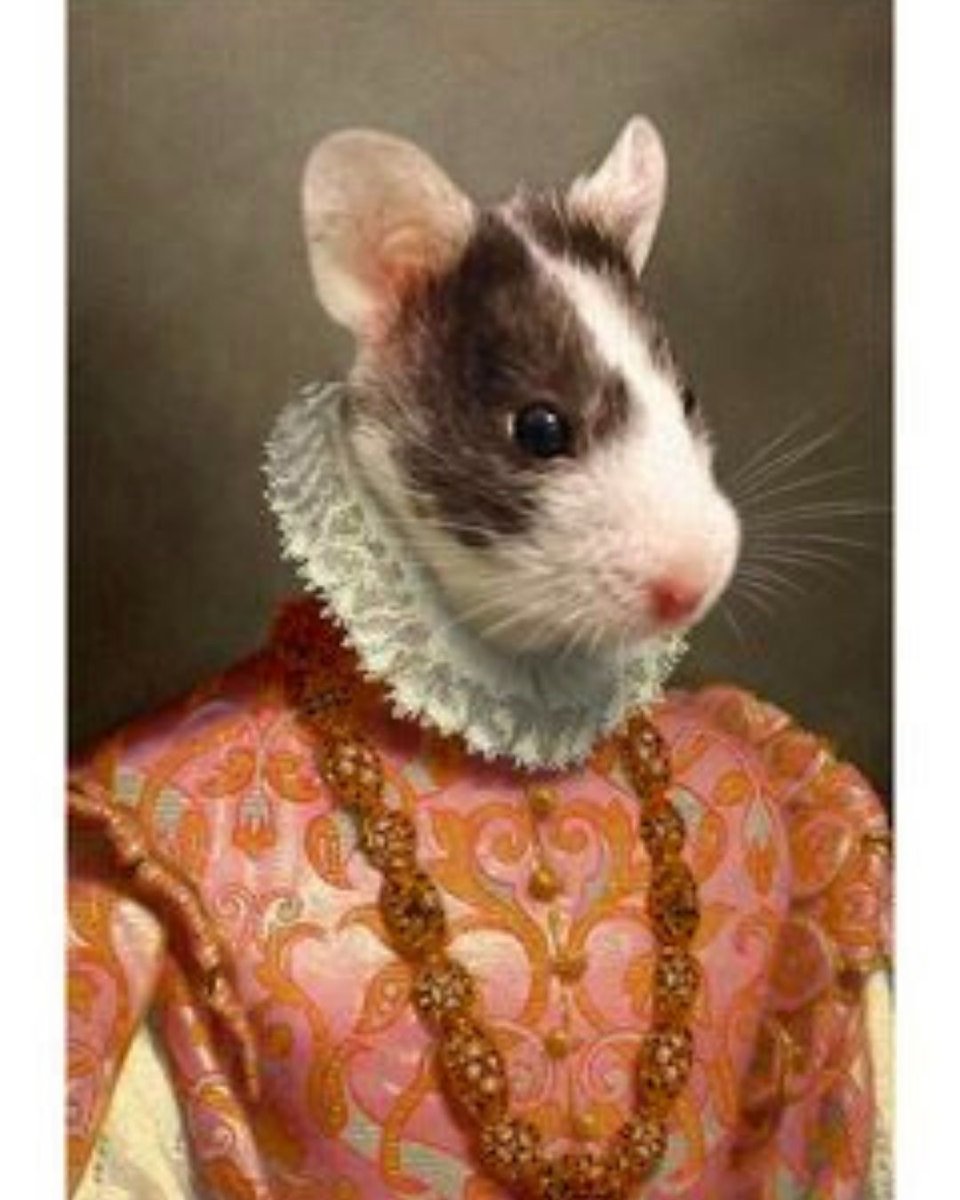 We have a wide range of different pet pictures come through to us from our customers, from mice to horses - we can do any animal!🐭🐴

Simply choose your favourite style, upload a picture of your pet and well turn them into a work of art!👇

📸purrandmutt.com📸