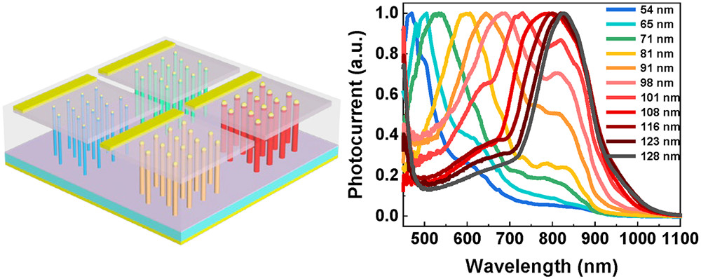 "Broadband GaAsSb Nanowire Array Photodetectors for Filter-Free Multispectral Imaging" 

cc: <a href="/LanFu_FuLan/">Lan Fu</a> <a href="/ZiyuanLi11/">Ziyuan Li</a>

fal.cn/3igqt /#NLAR