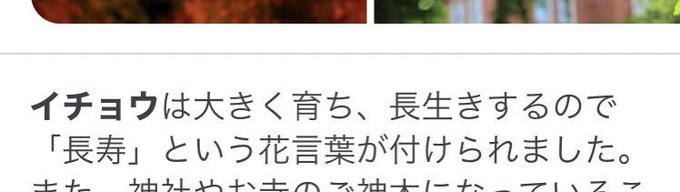イチョウの葉のtwitterイラスト検索結果 古い順
