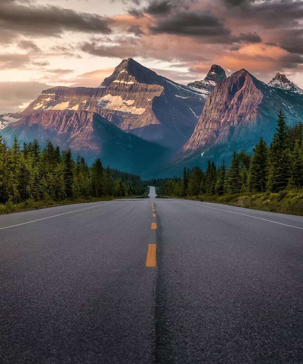 The World is Beautiful (@beautyofwrld) on Twitter photo 