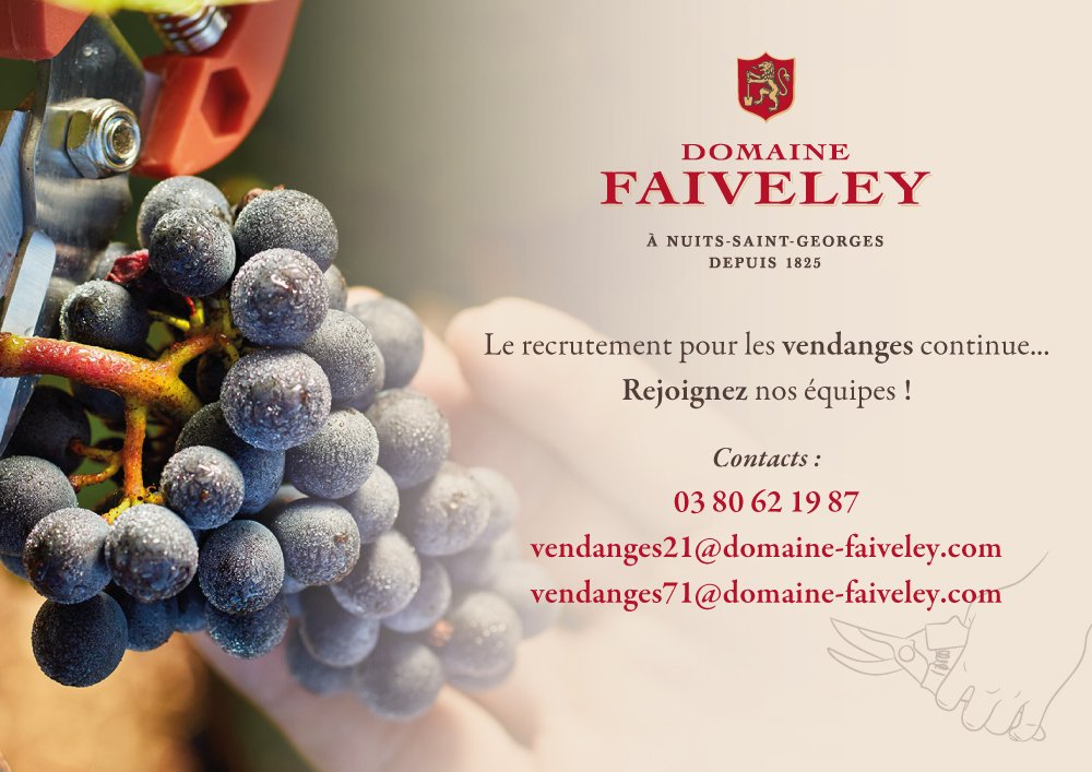 Nous comptons sur vous ! 🍇
.
#domainefaiveley  #faiveley #espritdequipe #climatsdebourgogne #vinsbourgogne #vignoble #hve #cotedor #cotechalonnaise #pinotnoir #chardonnay #vendanges #harvesttime #bourgogne