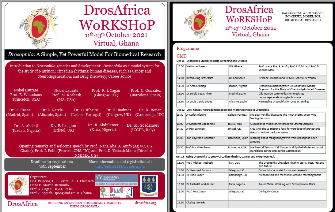 Apply now for the next Online Workshop at the University of Ghana on Drosophila: A Simple, Yet Powerful Model For Biomedical Research, with an incredible list of speakers!
Date 11th - 13th of October 2021. 
Deadline for registration: 30th Sep
online2021.drosafrica.org