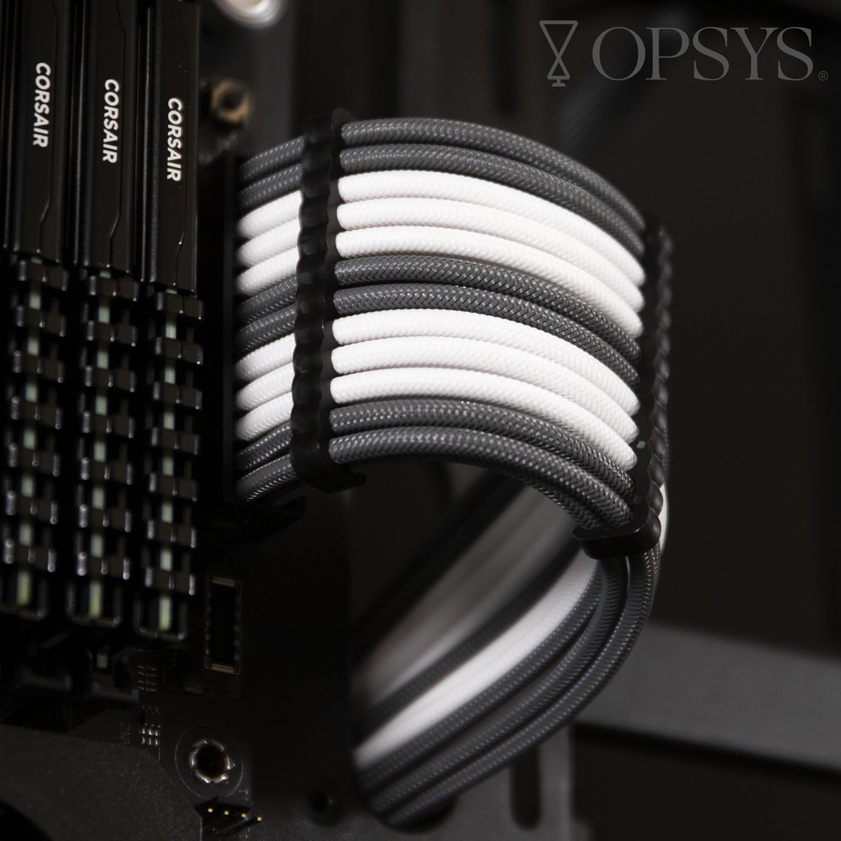 OPSYS_Gaming's tweet photo. Personalisation, down to the wire.
Which would you choose?
#NoMoreMustardCables
.
.
.
#OPSYSXYou #BreakTheGame #DeskTopWorthy #CustomPC #CustomPCs #CustomGamingPC #customgamingpcs #customgamingpcsetup #gamingpc #gamingpcs #gamingpcsetup #gamingsetup #newpc #esports https://t.co/IocCUqRISZ