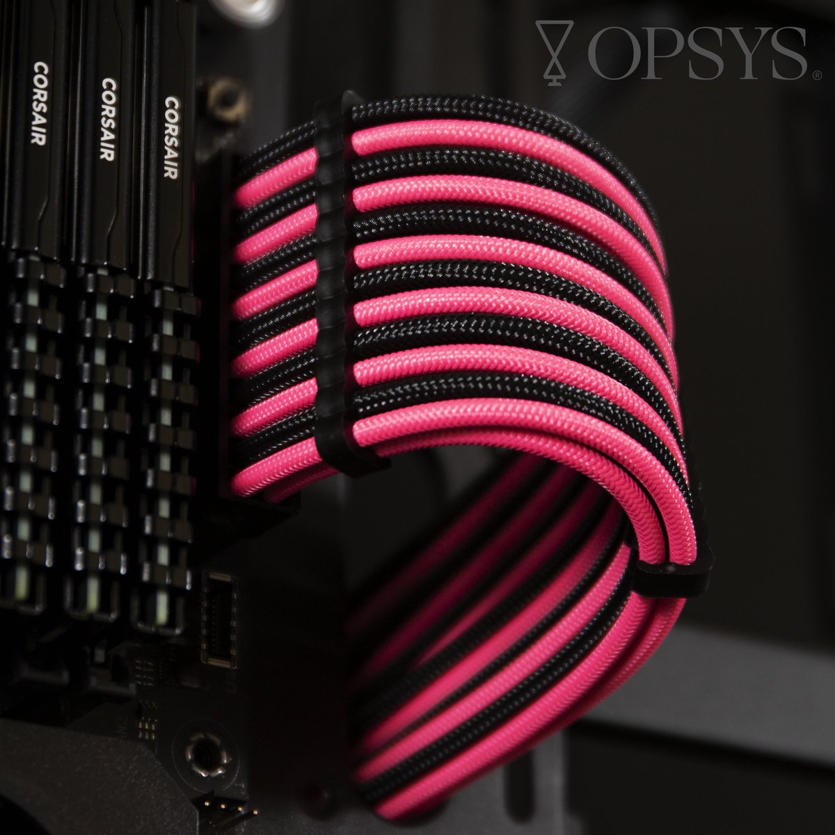 OPSYS_Gaming's tweet photo. Personalisation, down to the wire.
Which would you choose?
#NoMoreMustardCables
.
.
.
#OPSYSXYou #BreakTheGame #DeskTopWorthy #CustomPC #CustomPCs #CustomGamingPC #customgamingpcs #customgamingpcsetup #gamingpc #gamingpcs #gamingpcsetup #gamingsetup #newpc #esports https://t.co/IocCUqRISZ