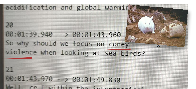 Asking the real questions here... 😅🧐

Anyone else having a great time proof-reading the captions of their #WSC3 talks? Thanks <a href="/Seabirders/">World Seabird Union</a> for the multiple laughs! 🤓🐧🐧

(initial words:"coral reef islands")
#seabirds #Science #fail #bewaretheRabbit