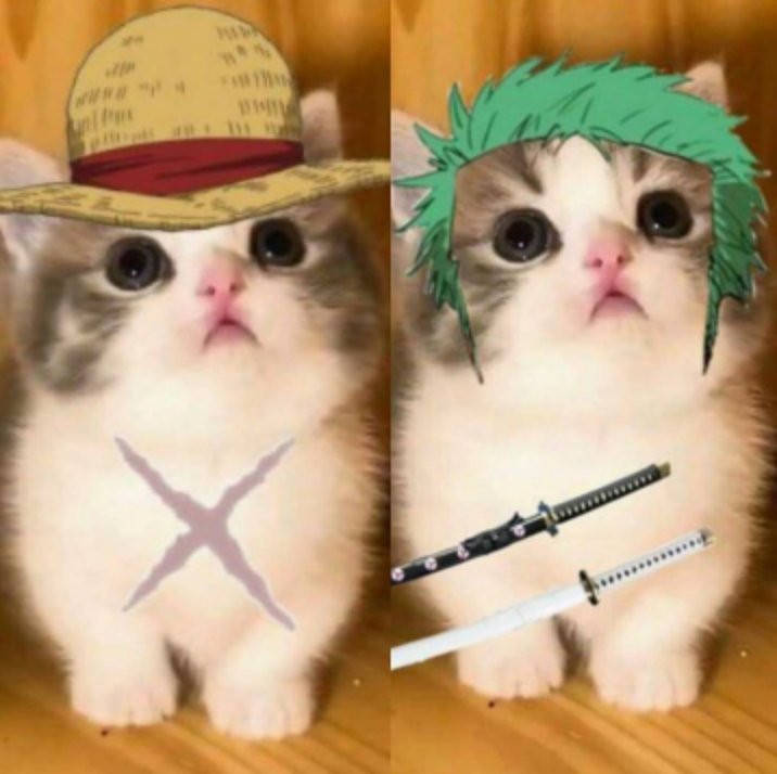 _OnePieceMemes_'s tweet photo. Anime : One Piece https://t.co/MLwzQl8SWS