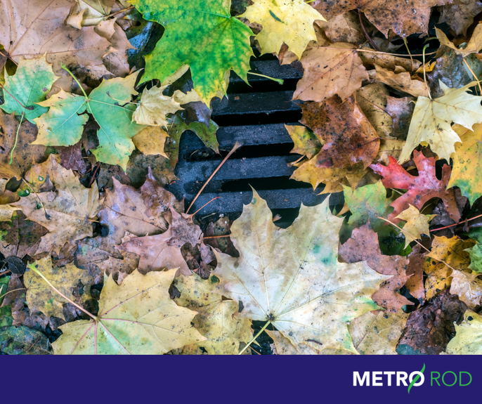 The weather is a bit mixed at the moment, but we're certainly heading towards colder days and longer nights. That means the leaves are going to fall and that means they can cause problems for your drainage and your gutters. 
#MetroRod #leaves #autumn #drains #gutters