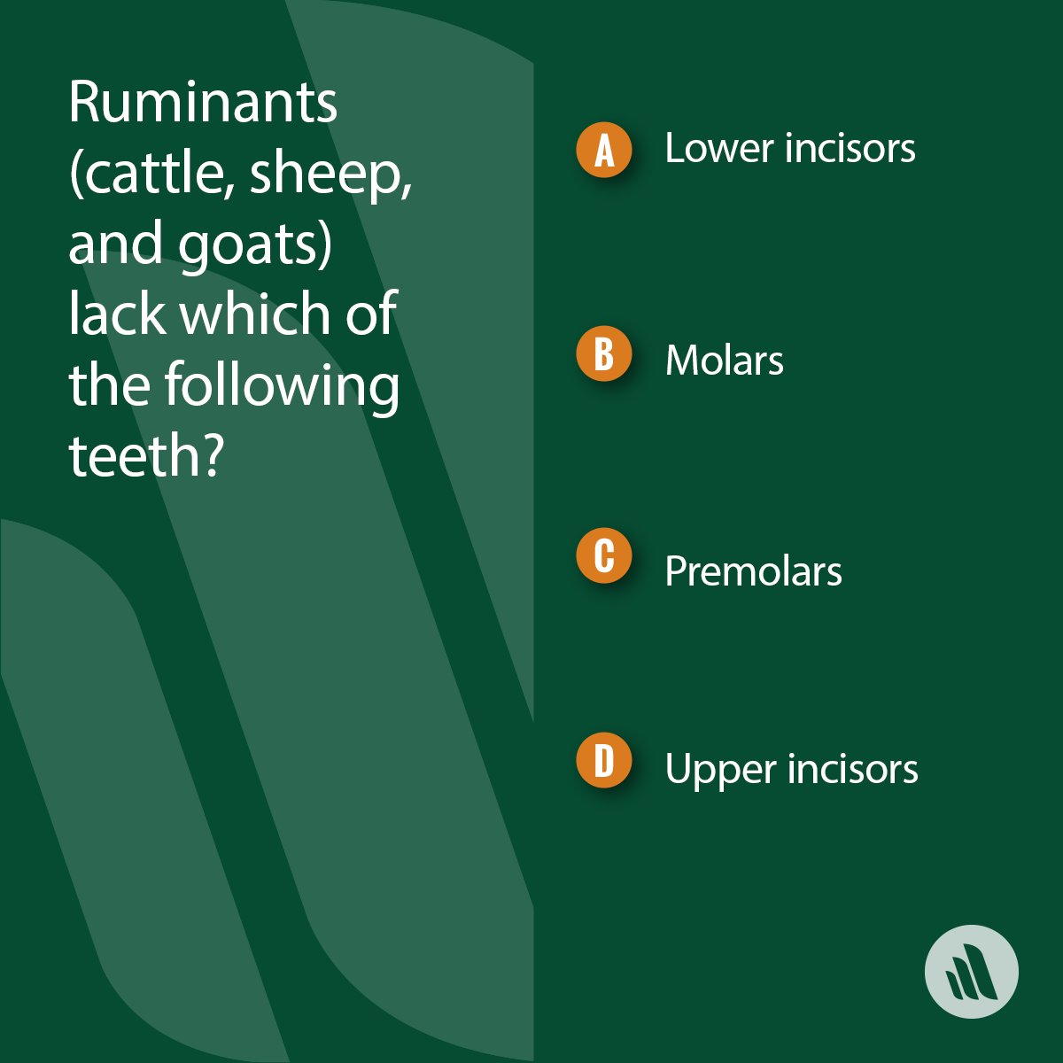 Merck Vet Manual on Twitter "Do you know the answer? Tweet us your
