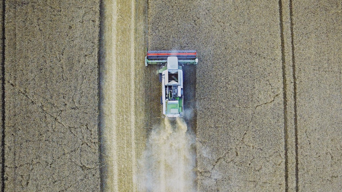 FondBarilla's tweet photo. #FoodSystems account for over 1/3 of #GHG emissions. ⚠️
Learn how the private sector can be more #sustainable with the #FixingFoodNow report ▶️ https://t.co/cRZywSTaqE
@UNSDSN @CCSI_Columbia @SantachiaraLab https://t.co/GxNCfhWUWB