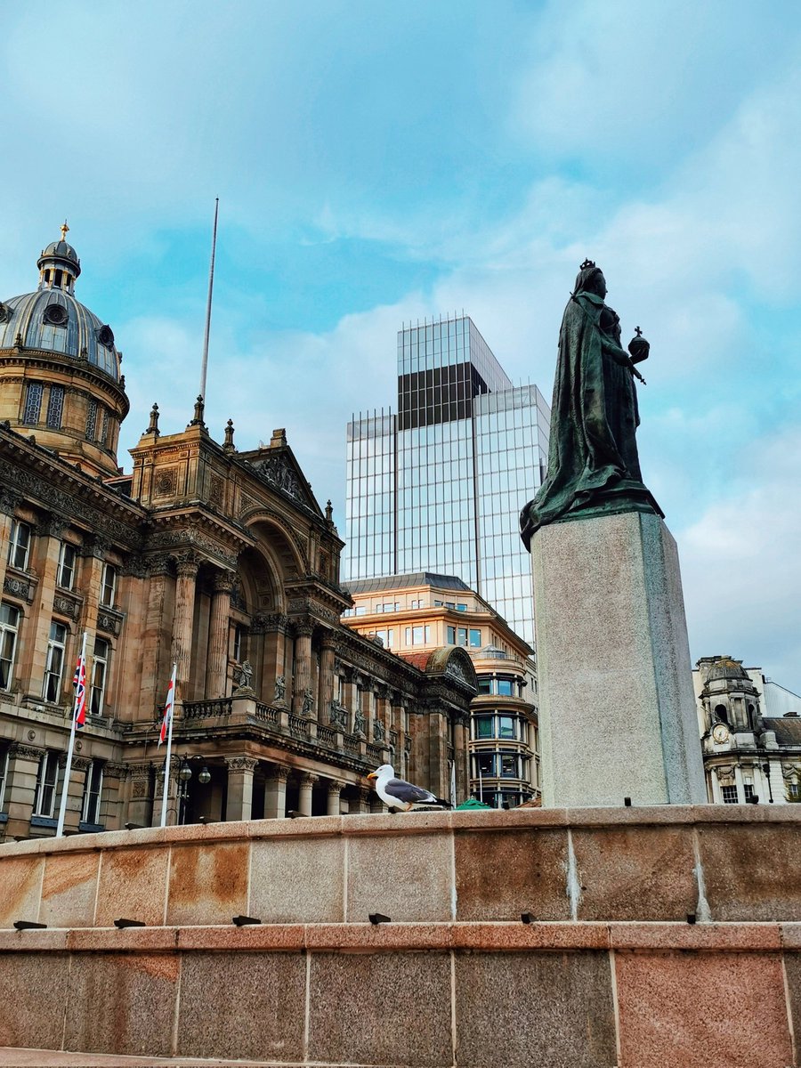 visit_bham's tweet photo. So much beauty in one pic, nicely captured by @Bababouttown.

Old vs new, iconic landmarks...  and a seagull!

#VisitBirmingham https://t.co/pe8tHIjXEM