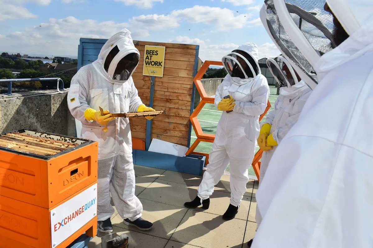 EQmanchester's tweet photo. 🐝MEET THE BEES 🐝
We introduced our latest tenants to the #EQcommunity 🍯 https://t.co/SOOSgt8LIa