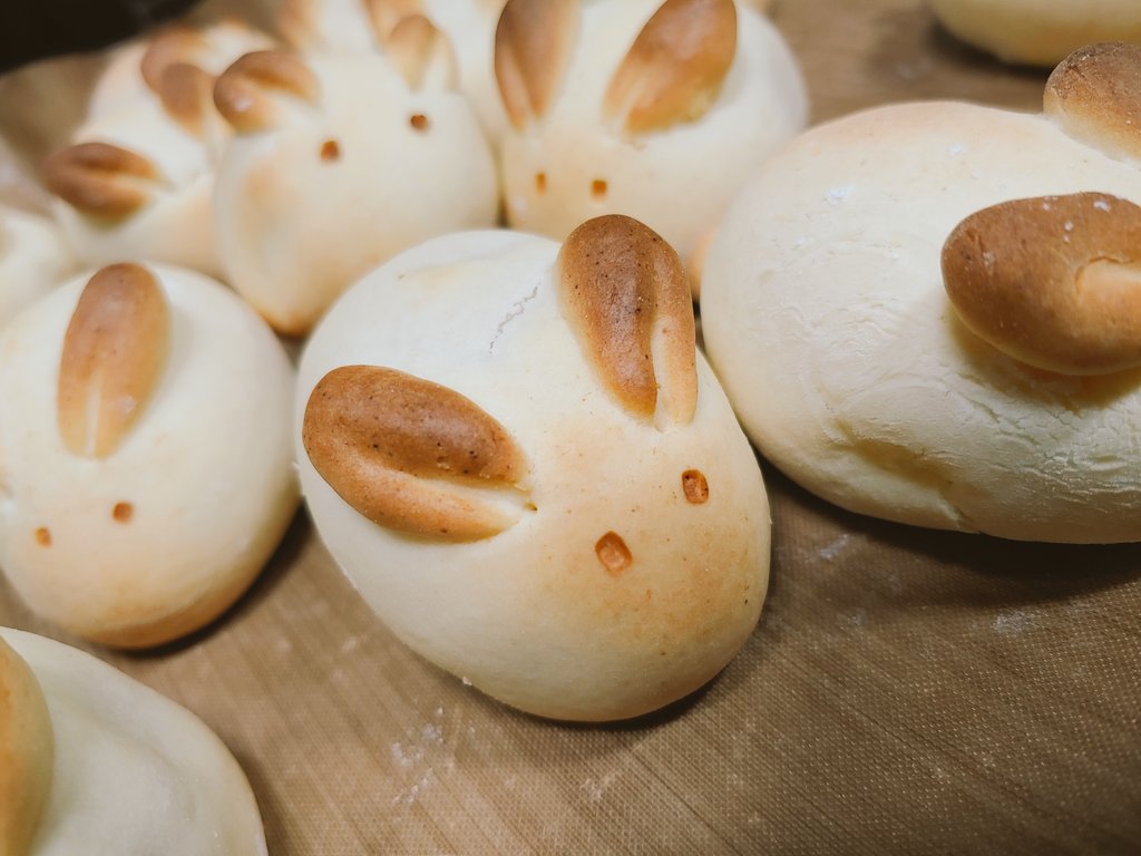 곧 추석이니까 토끼빵