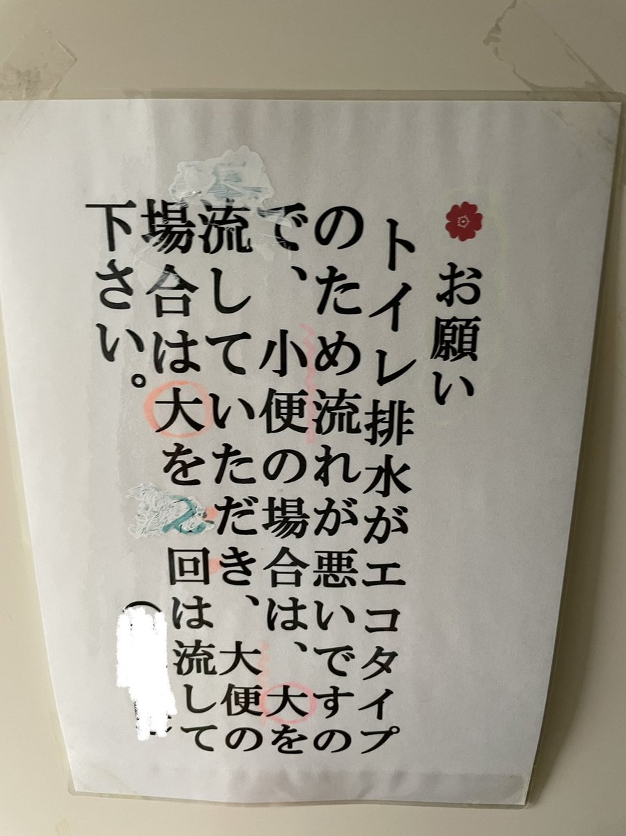 ぐみ 屋久島 Megworks Twitter ぐみ 屋久島 Megworks Twitter