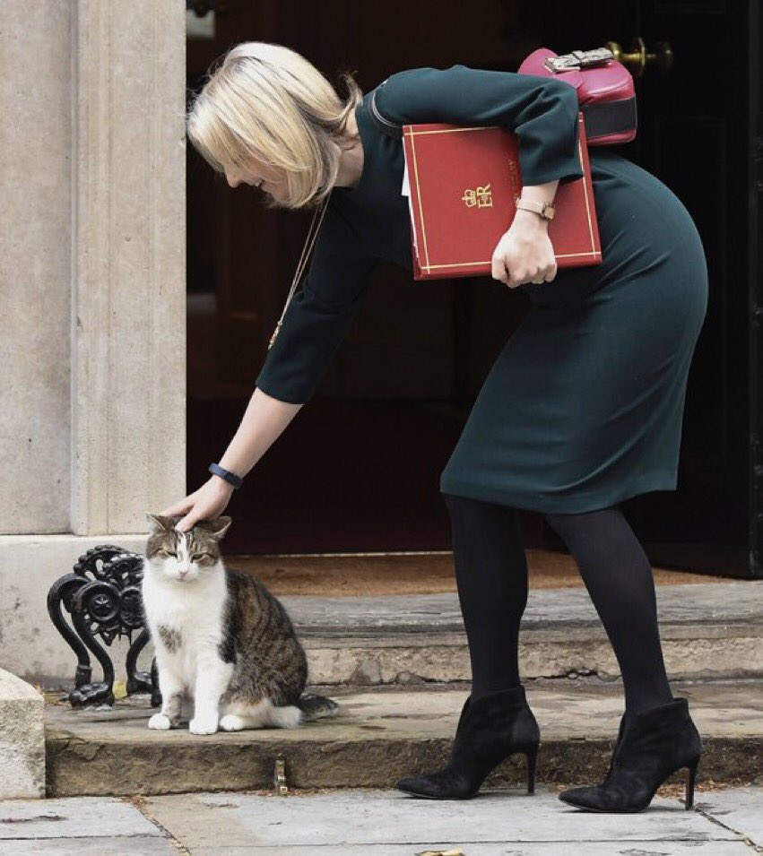 Liz Truss stroking Larry on the step of 10 Downing Street