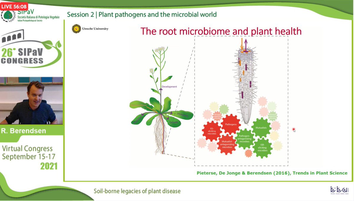 Roeland Berendsen opening the afternoon Session "Plant pathogens and microbial world" at the 26° <a href="/SIPaV1992/">SIPaV</a> SIPaV Congress