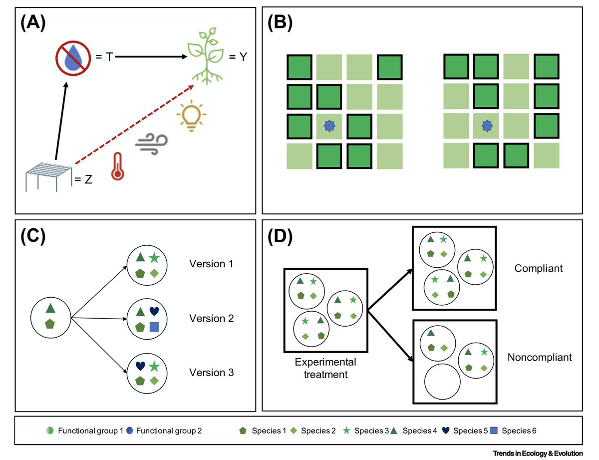 New in <a href="/Trends_Ecol_Evo/">Trends in Ecology & Evolution</a> Experiments are the gold standard for causal inference but are hard to do. The ideal experiemnt is rarely possible. What happens then for causal inference? We review 4 common violations of assumptions needed for causal inference in expts &amp; solutions. 1/n