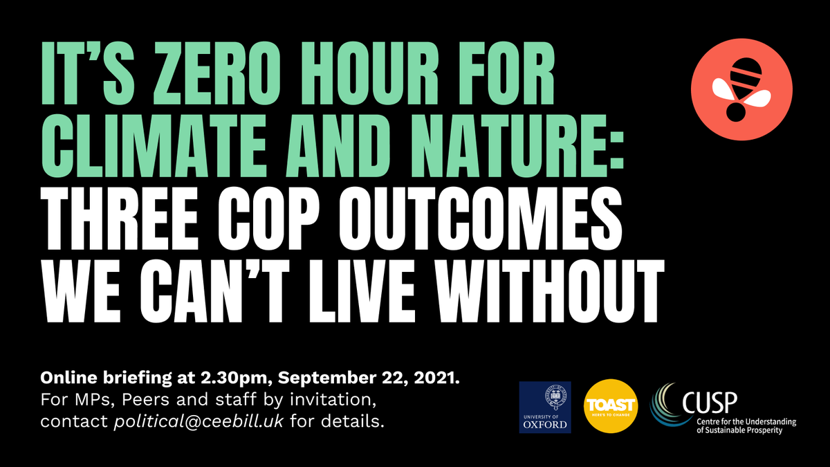zerohour_uk's tweet photo. We’re hosting a briefing for MPs on 22 Sept entitled:
"Three COP outcomes we can’t live without."

Four world-leading climate &amp; nature scientists will speak on a panel led by @Sir_David_King with Q&amp;A.

Ask your MP to register - we've already sent them an invite #COP26 #ZeroHour https://t.co/qypkLtV3yS