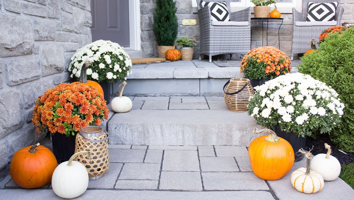 aprettyfix's tweet photo. Finally finished putting the final touches on my "Fall Porch Decorate With Me" video on YouTube --> https://t.co/k6soQGNBUK 

Pop by for all the the behind-the-scenes!

#fallporch #pumpkindecor #autumndecorating #aprettyfix https://t.co/aTor3iUJHQ