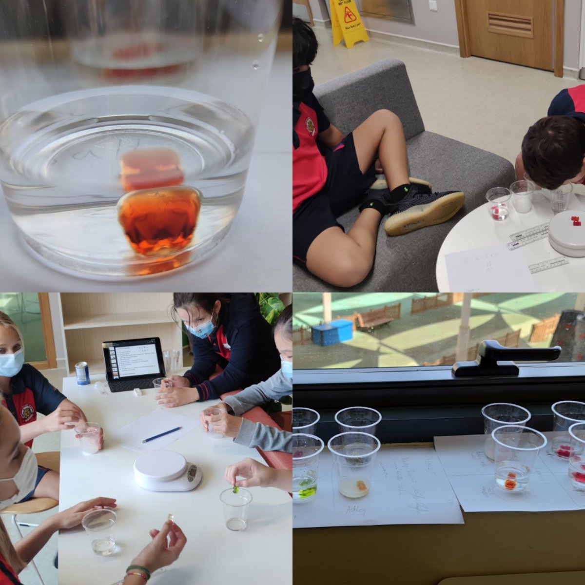 Clelia Cudlipp tweet media