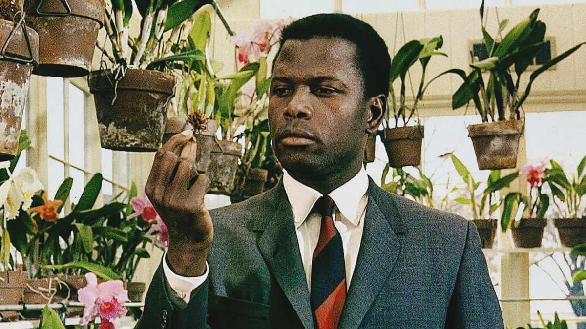 Classic Film TV Cafe tweet media