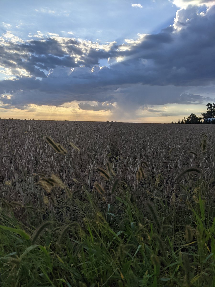 For some, harvest 2021 is here and for others it's right around the corner! #Harvest2021