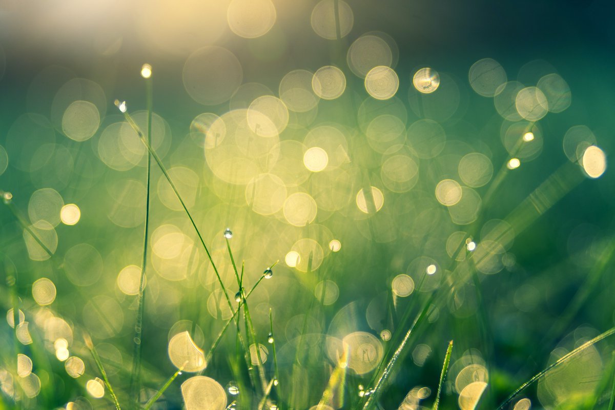 NTTDATA_IT's tweet photo. NTT DATA si unisce alla Green Software Foundation, un'organizzazione che si dedica alla riduzione delle emissioni di CO2 causate dal software, come membro direttivo.
Scopri di più!
👇
https://t.co/sgTQAwlLOZ

#green #innovation #carbonneutral https://t.co/aumNSIVIhQ