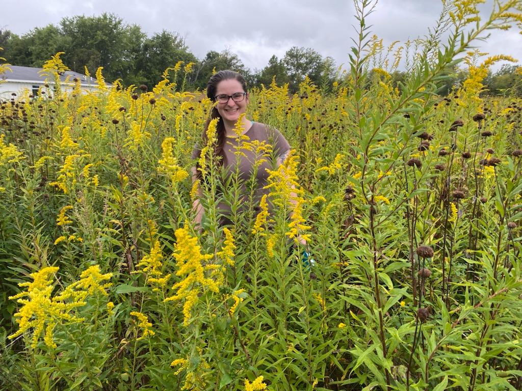 Farewell to summer! With fall just around the corner, you'll see lots of new faces popping up on the prairie, like this goldenrod overtaking our GA Alex!

Now... Are the flowers tall or is Alex just short? 😉

#goldenrod #ragweed #HelloAutumn #prairie