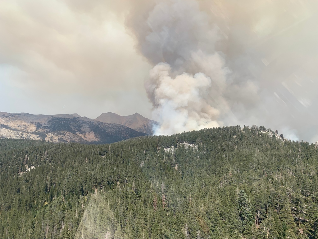 IFlyPapillon's tweet photo. Mission Alert: π π #utilityhelicopterβ
β
Before and after of the Walkers Fire near historic Quinn Cabin in Sequoia National Park. π₯ππ οΈβ
β
#iflypapillon #airbushelicopters #safrangroup #helicopter #photooftheday #worklife #aviation #aviationphotography #aviationdaily https://t.co/rh3LSKQEYJ