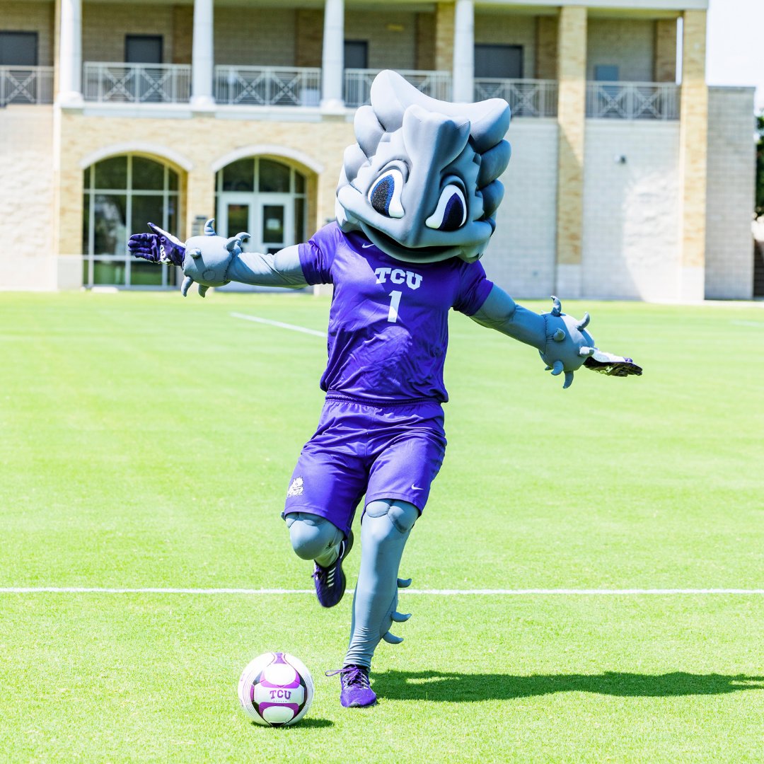 SuperFrog1873's tweet photo. Tonight, is the night, another Top 20 match-up for the NO. 5 Women’s Soccer team. Support them as they take on NO. 11 Pepperdine at Garvey-Rosenthal Stadium at 7 PM. The house will be rocking tonight. 

#GoFrogs #HornedFrogs #womenssoccer #OneTownOneTeam #ThisIsOurTurf #RiffRam https://t.co/2LoXHPiArY