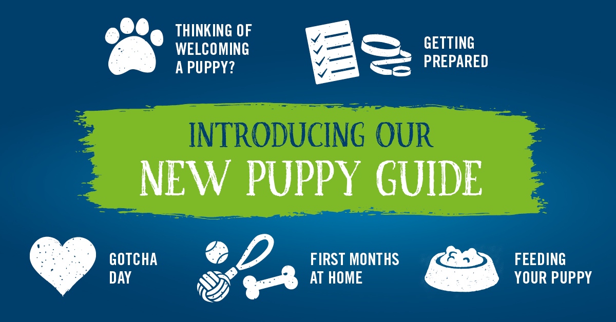 Have you just welcomed a pup into your pack? Or are you thinking that you might soon? 🐾

Take a look at our puppy guide - it'll take you through every stage of your new four-legged friend's development, with must-haves, training tips and feeding advice.

butchersdogfood.co.uk/puppy-guide-li…