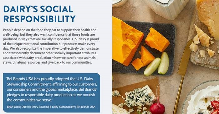 #Bel Brands USA recognizes the importance of being an advocate for the US #Dairy industry. We're proud to be featured in the Innovation for US Dairy’s new #Sustainability Report including a quote from Brian Zook, our Director of Dairy Sourcing &amp; Sustainability.