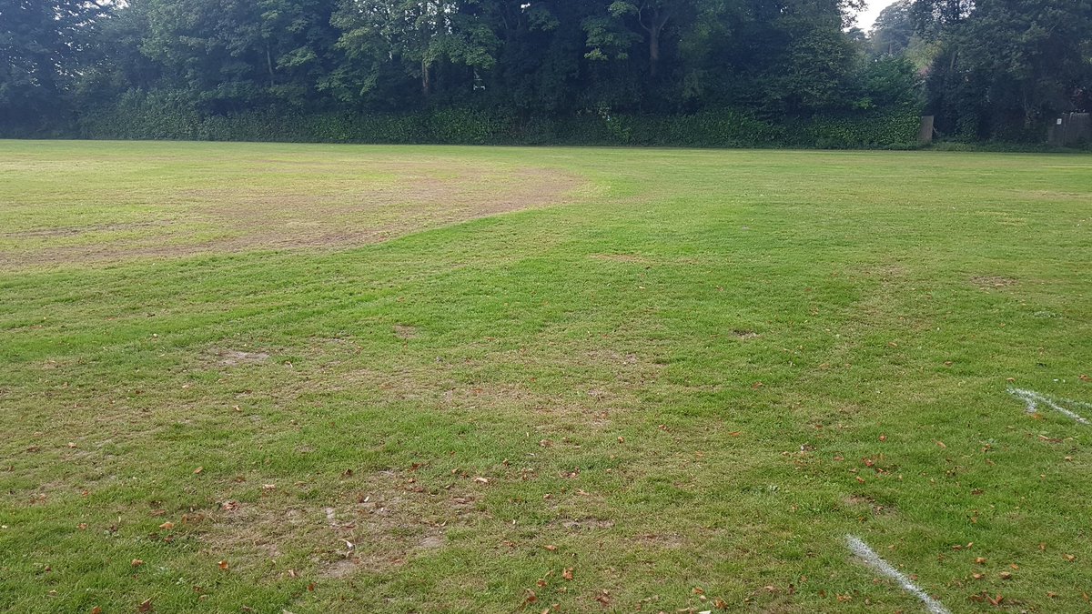 Lion Green in #Haslemere. Over 30 food and drinks stalls will be here on Saturday 18th September from 10am. Plus music from noon.  Come for lunch and stay the afternoon!