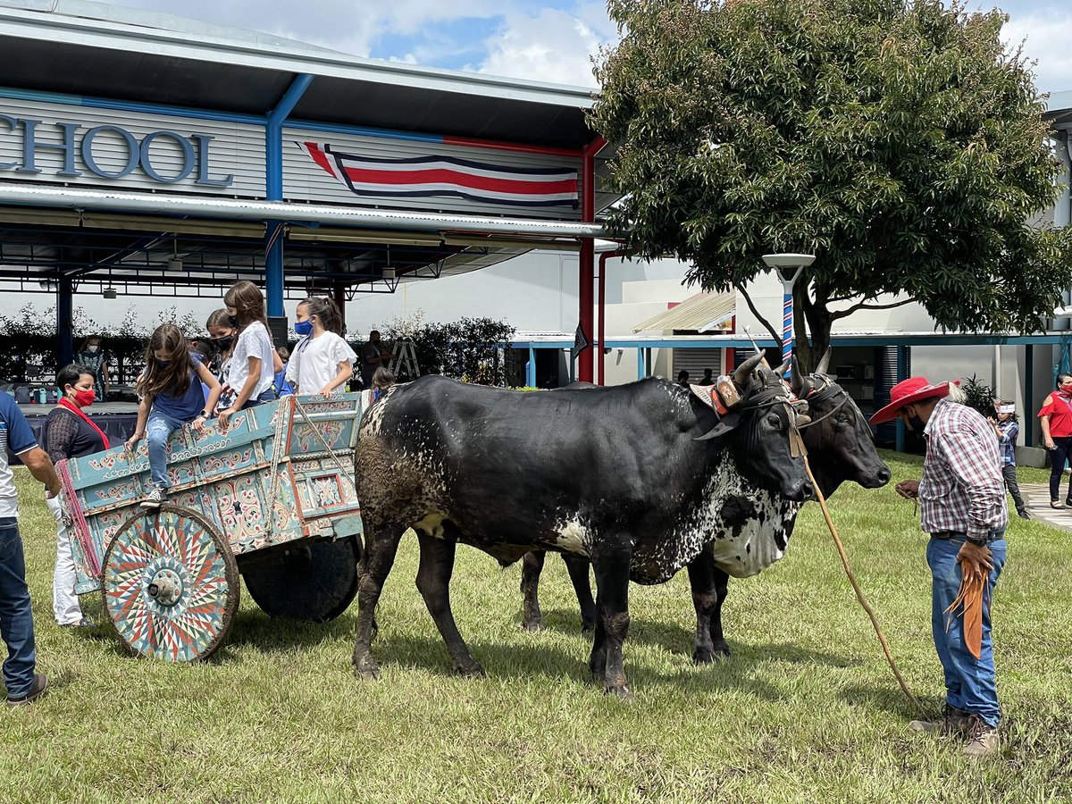 Profe_Cummings's tweet photo. Viva la 15 de septiembre! Viva Costa Rica! Happy 200th Independence Day Costa Rica!!! 🇨🇷🇨🇷🇨🇷 https://t.co/pPvWQ6NwjN